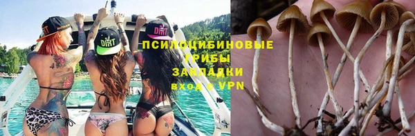 а пвп мука Каменногорск